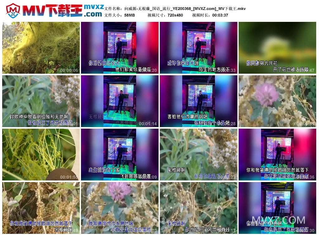 向威源-无根藤_国语_流行_YE200368